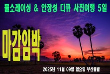 베트남 물소레이싱 & 안장성 …