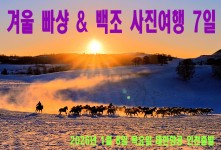겨울 빠샹 & 백조 사진여행 …