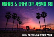 베트남 물소레이싱 & 안장성 …
