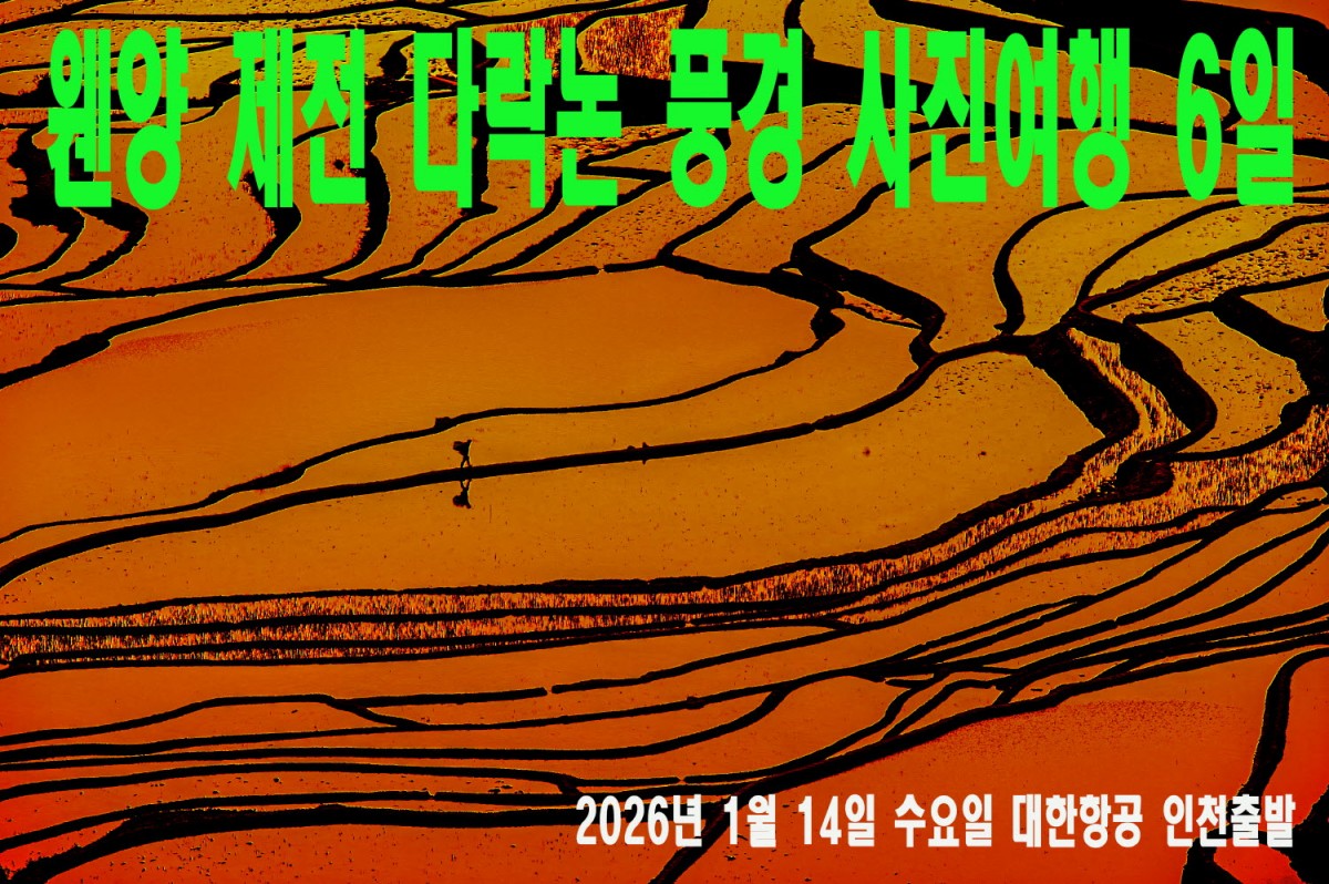 ad11ec003444b1d38c4d9d9e01b1dd61_1758124