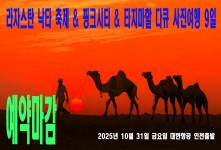 라자스탄 낙타 축제 & 핑크시…