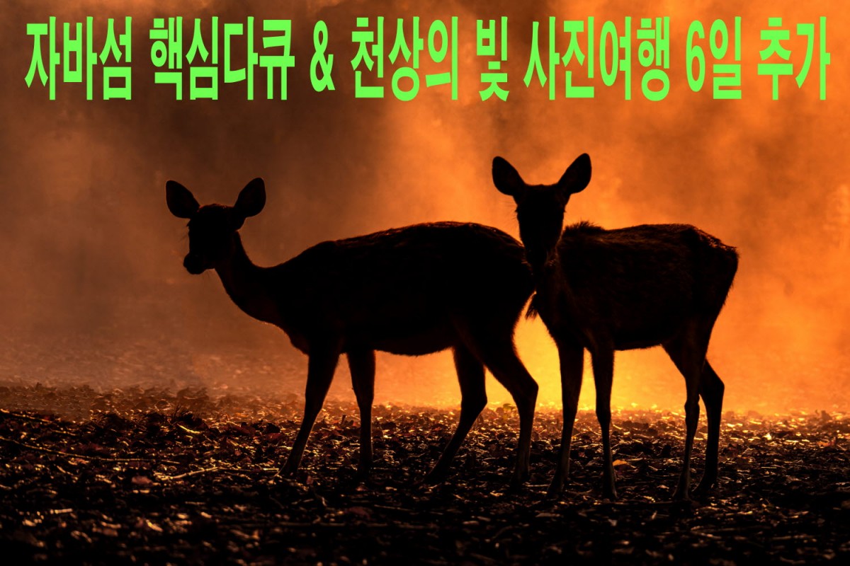 7f66272715b1726785a470b81f60d3dc_1759510