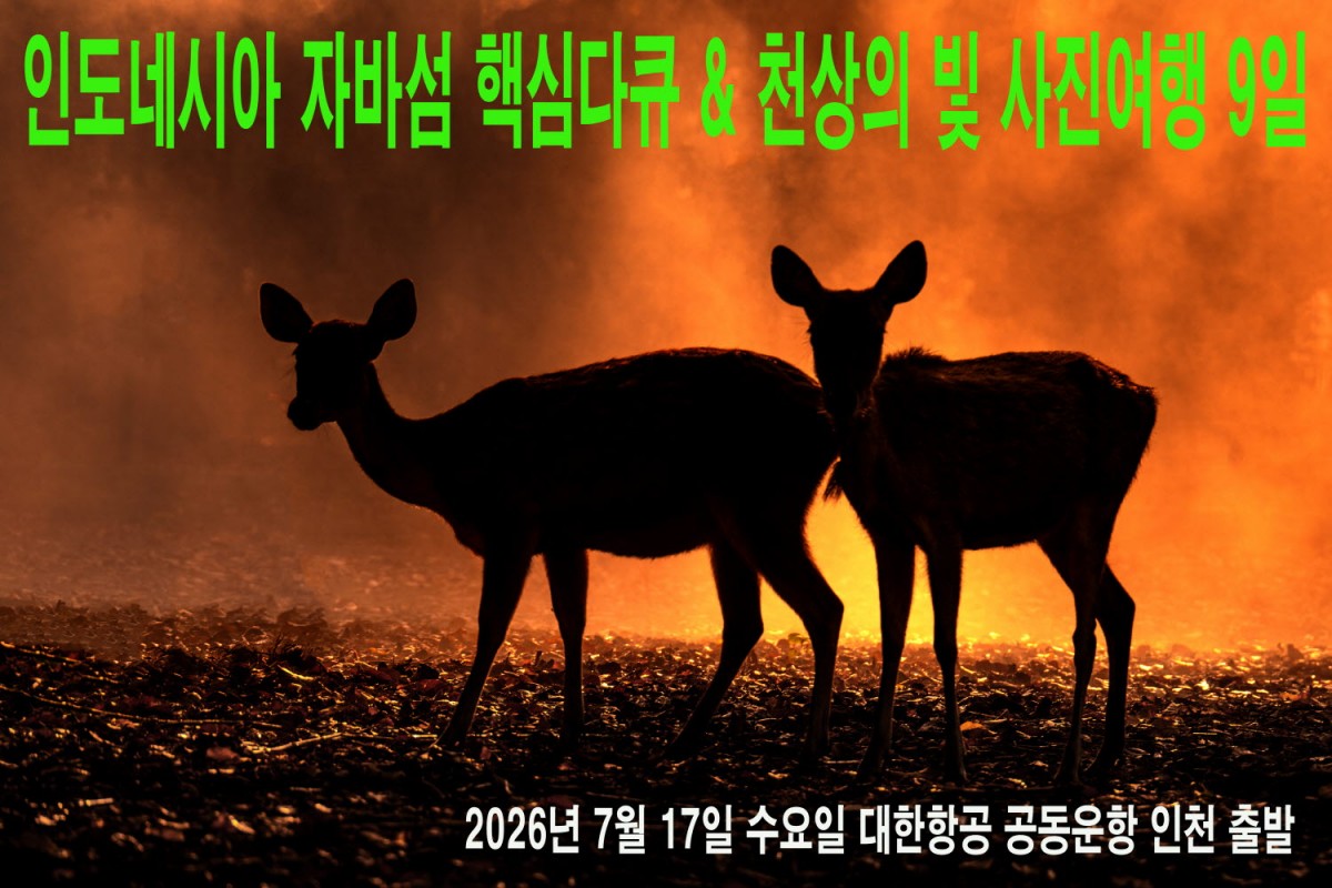a899c22b7665293c0961f218f8e5df9a_1759502