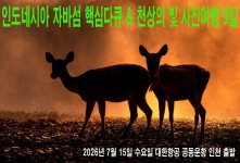 자바섬 다큐와 천상의 빛