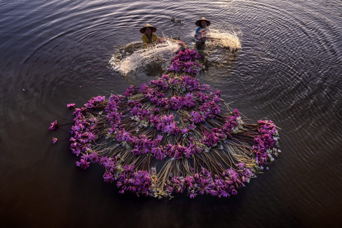 4ba9f169a7cd41ecad88e95d958c84ae_1763551