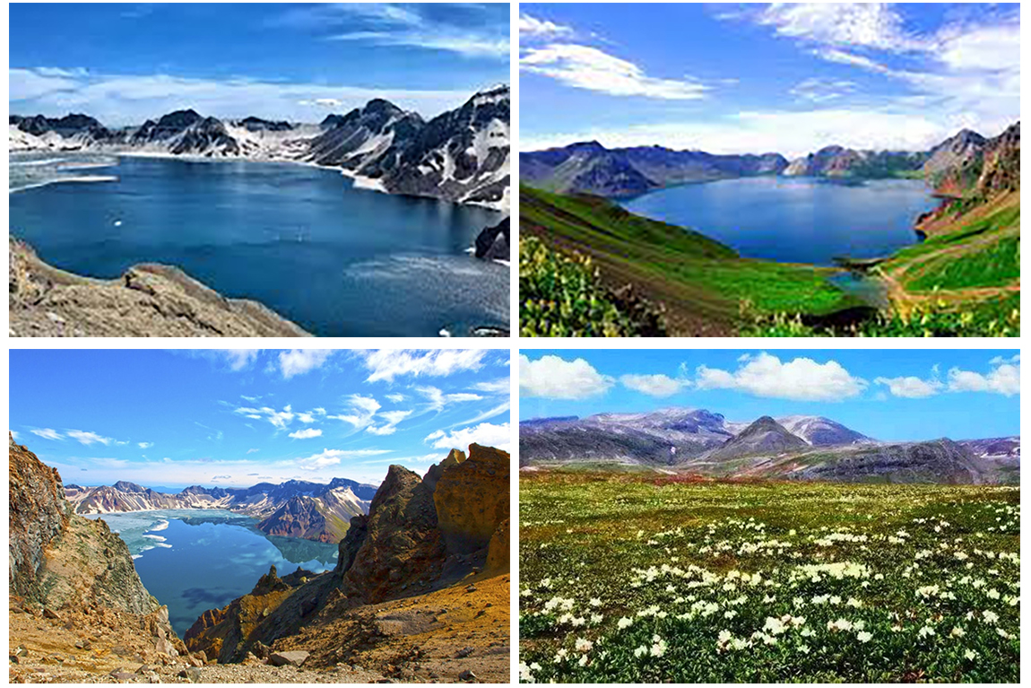 429c86956dd92a515ba6f622949a5ea6_1770926