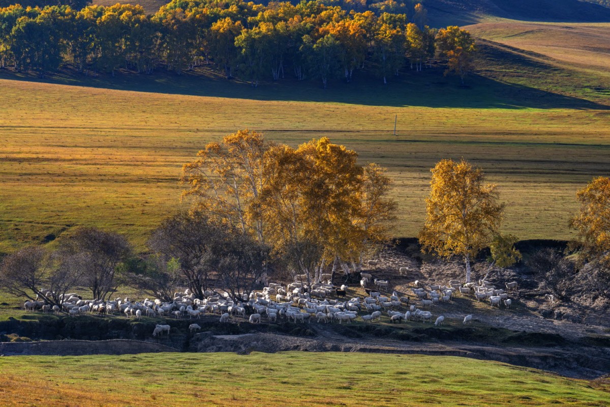 76b63a5c087bf0f90a562478afb0f484_1772471