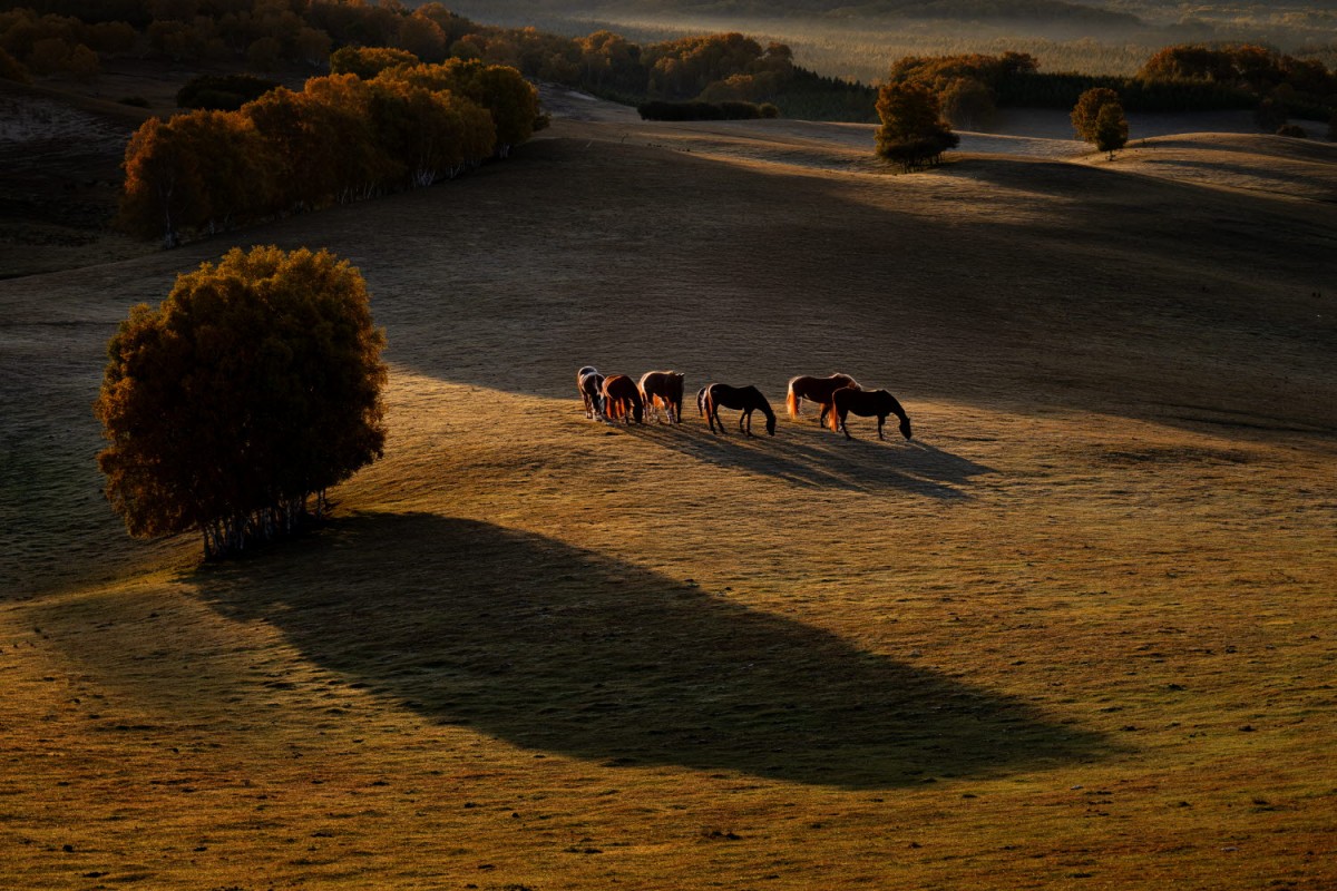 76b63a5c087bf0f90a562478afb0f484_1772471