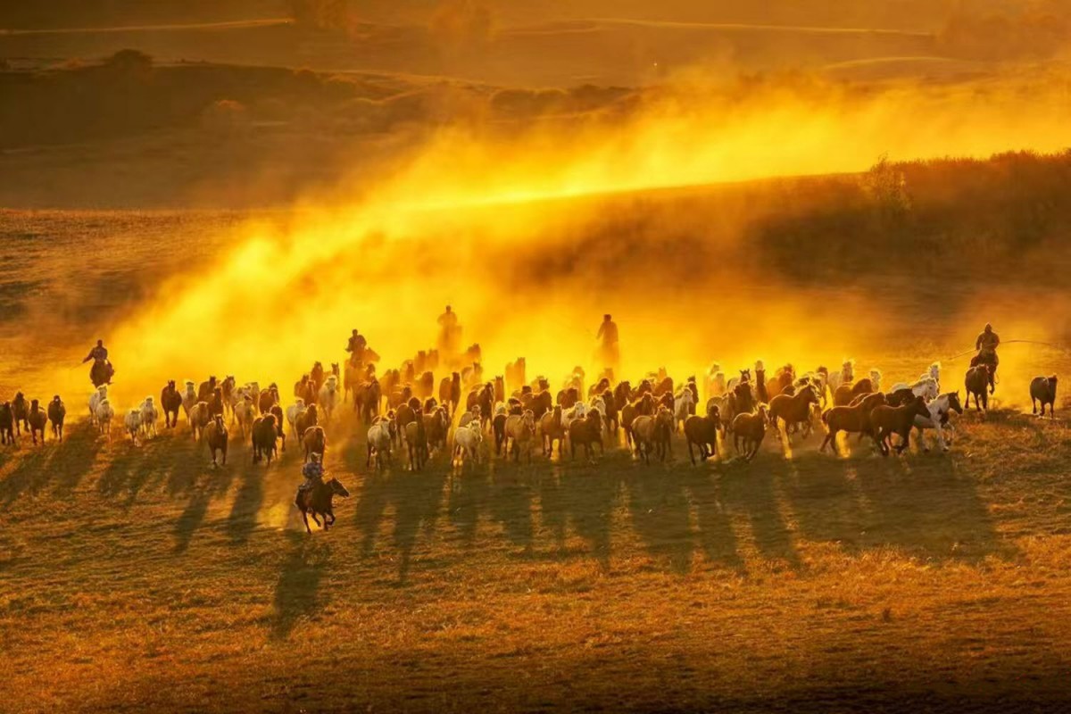 76b63a5c087bf0f90a562478afb0f484_1772471