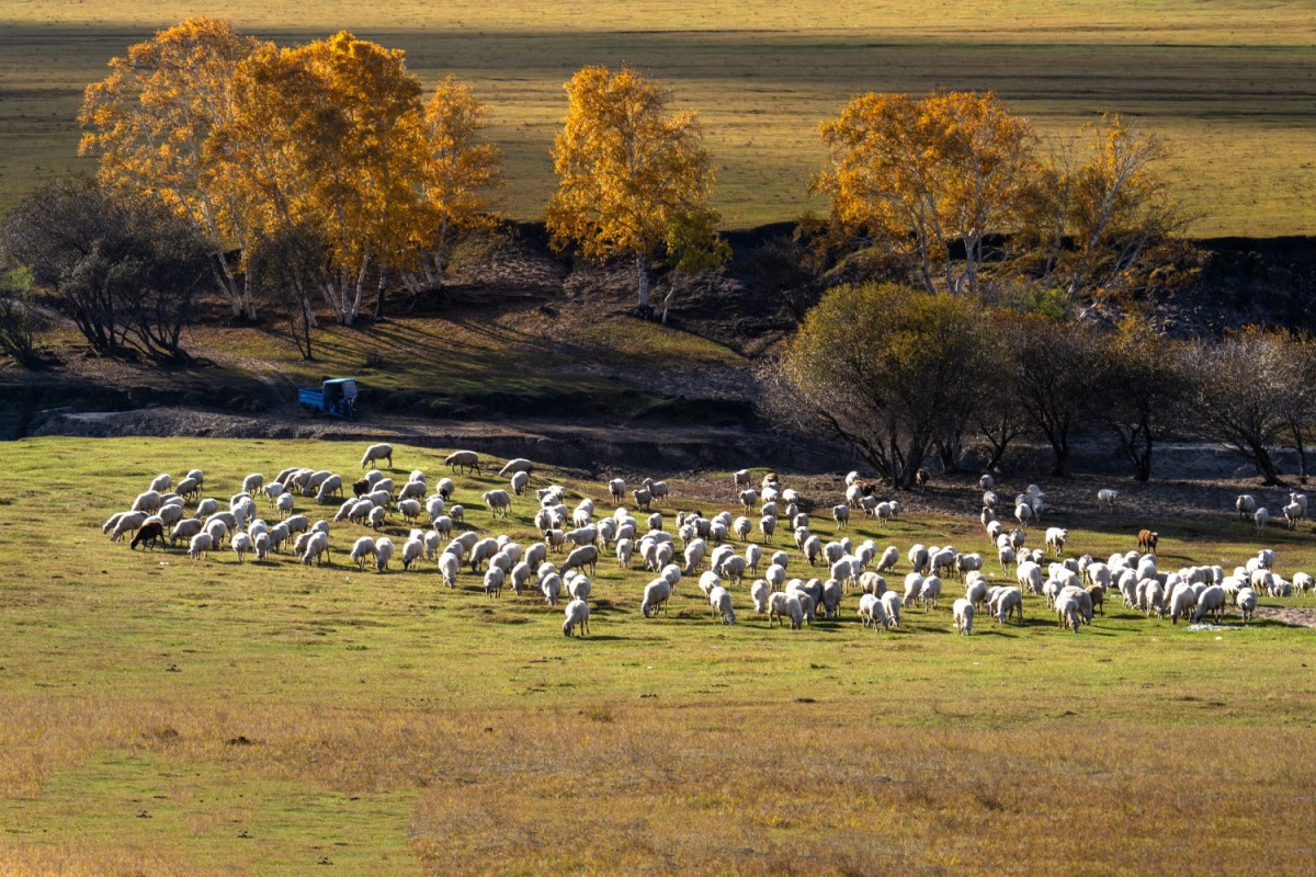 76b63a5c087bf0f90a562478afb0f484_1772471