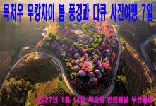 목처우 무캉차이 봄 풍경과 다…