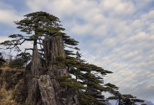 엔젤사진투어와 함께 한 황산