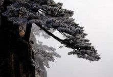 엔젤사진투어와 함께 한 황산